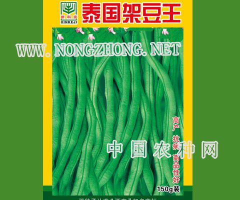 泰国架豆王